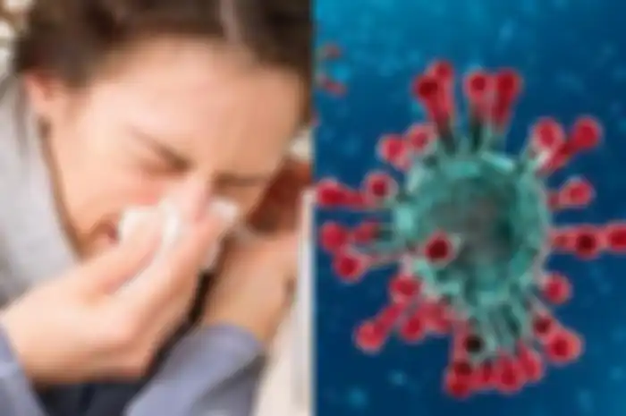 Dalam beberapa kasus, virus dapat menyebabkan penyakit saluran pernapasan bawah seperti pneumonia dan bronkitis.