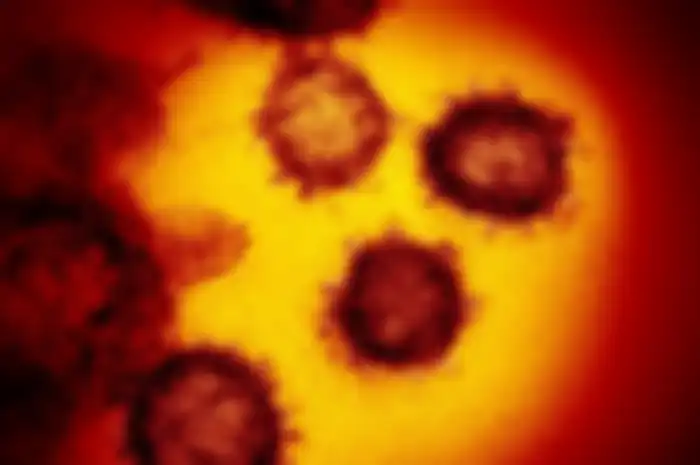 Meski demikian, ini bukan satu-satunya masalah besar karena masih ada beberapa virus berbahaya di dunia ini, berikut di antaranya.