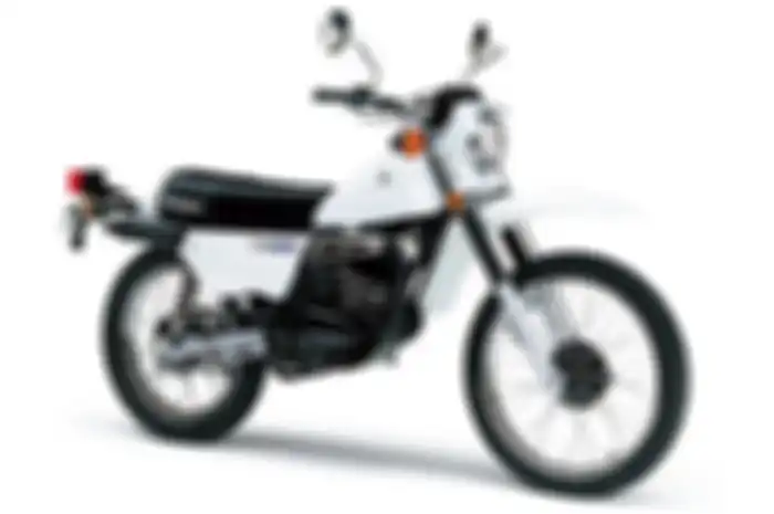 Suzuki TS185ER