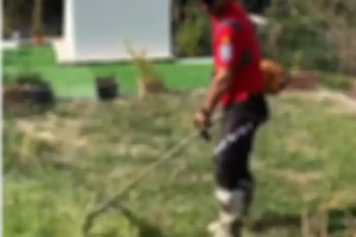 Danilo Petrucci memotong rumput 