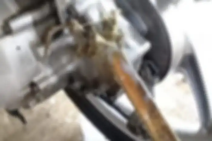 Ilustrasi. Ingin bersihkan kerak bandel di motor hindari memakai bensin, bisa-bisa muncul efek negatifnya bro!