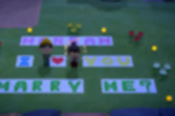 Momen saat Samuel Hawkins melamar Hannah Kenyon melalui game Animal Crossing.