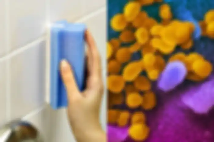 Jangan Sembarang Membersihkan Dinding Kamar Mandi di Tengah Pandemi Covid-19, Ini Caranya!