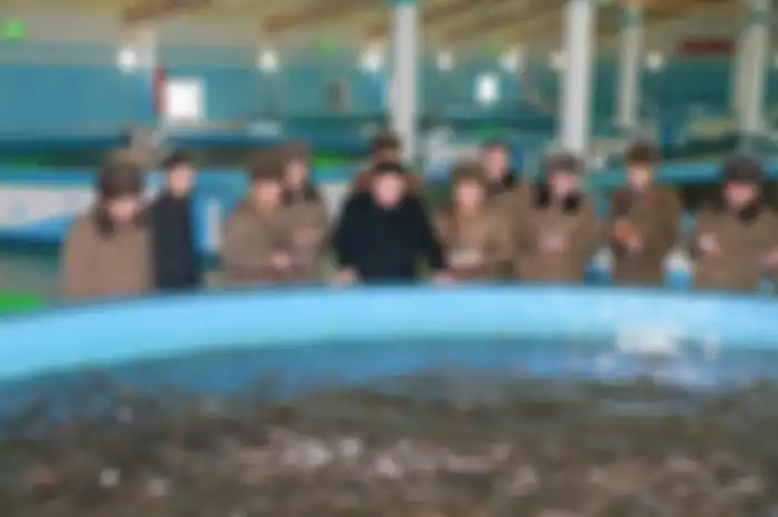 Kim Jong Un