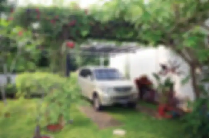 Ilustrasi-Carport beratapkan tanaman rambat.