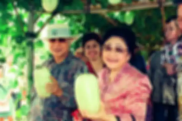 Ibu Tien Soeharto
