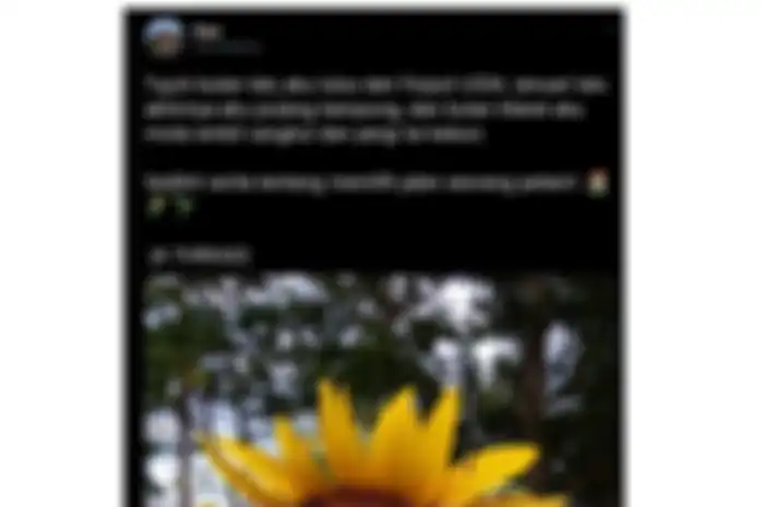 Cuitan seorang pemuda yang baru lulus dari kampusnya dan memutuskan untuk balik ke desanya dan jadi petani