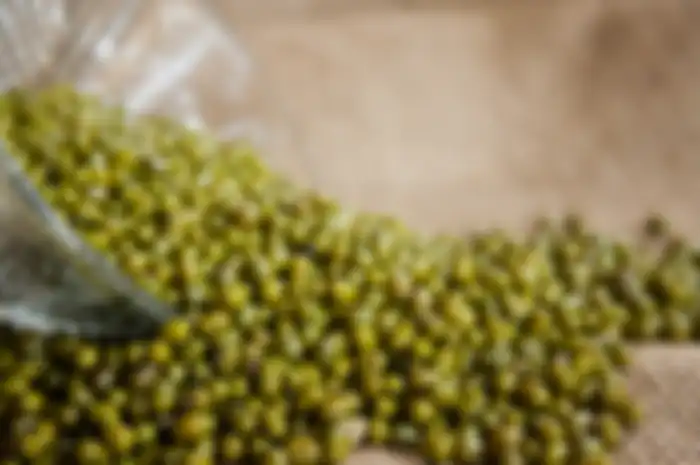 Kacang hijau punya beragam manfaat untuk kesehatan tubuh