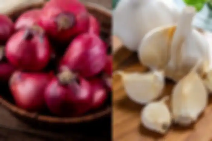 cara menyimpan bawang merah dan bawang putih