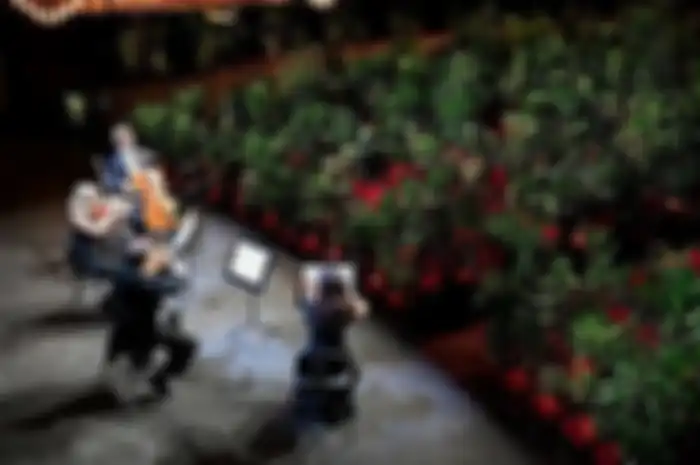 Pertunjukan di rumah opera Liceu di Barcelona dengan ribuan pohon ditempatkan di kursi penonton