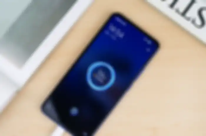 Fast Charging di Vivo V19