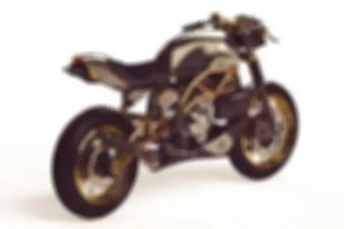 Motor 2-tak 250 cc buatan Langen Motorcycles