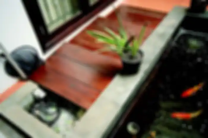Filter kolam ditutup dengan kayu agar keberadaannya tidak merusak estetika.