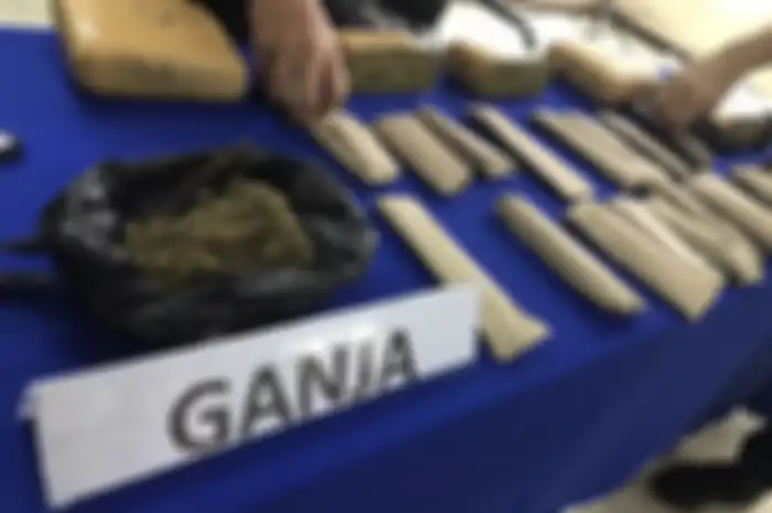 Polres Jakarta Selatan menyita barang bukti ganja seberat total 4,6 kilogram ganja dari hasil pengungkapan kasus jaringan pengedar narkotika jenis ganja di kampus swasta di bilangan Meruya, Kembangan, Jakarta.