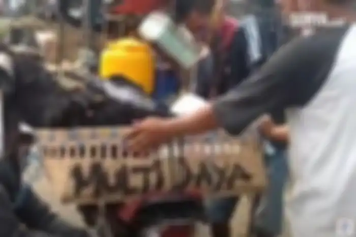Ternyata begini video trik membawa hewan kurban menggunakan sepeda motor.