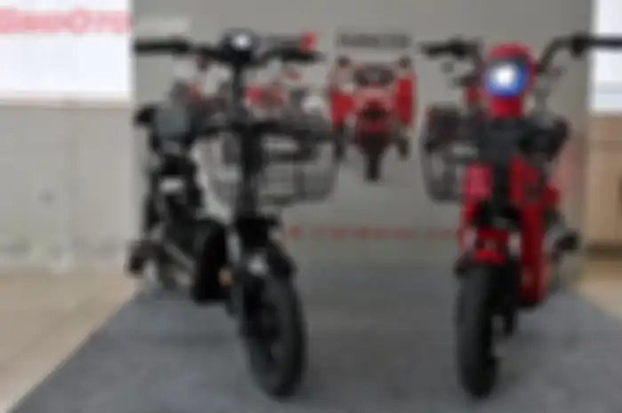 Viar Akasha (merah), Viar Uno (hitam)