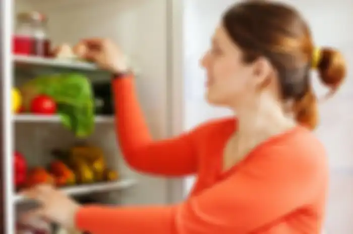 Menyimpan makanan saat mati listrik
