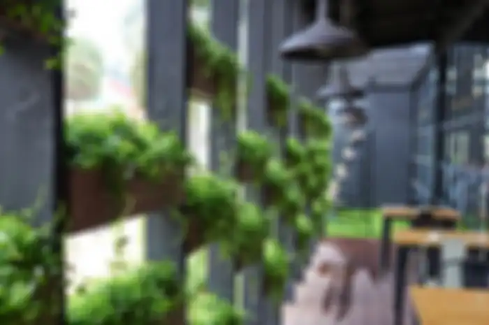 Hidroponik di Rumah Kos Lahan Sempit, Empat Hal Ini Harus Dipenuhi