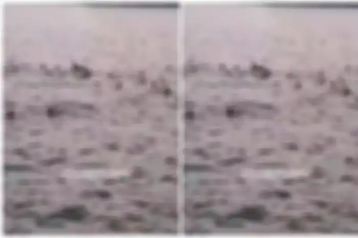 Sekelompok remaja di Cilincing, Jakarta Utara melakukan tawuran di laut.