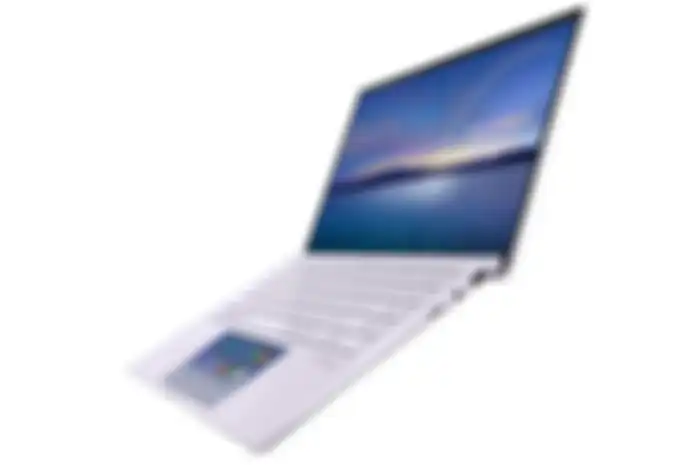 ASUS ZenBook 14 (UX435EA/EG)
