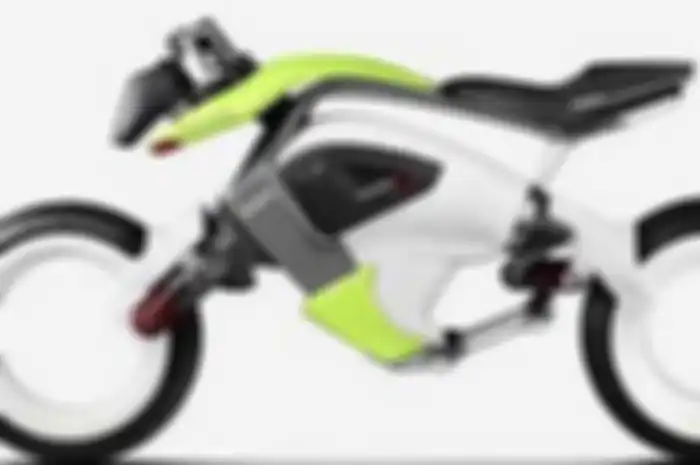 Motor listrik Hero Electric Ultra Sport, Blasteran Jerman dan India