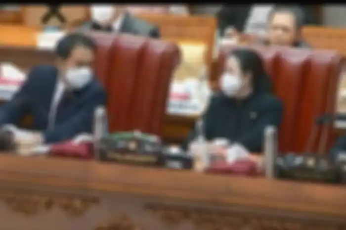 Sekjen DPR Ungkap Puan Maharani Matikan Mikrofon saat Wakil Fraksi Demokrat Interupsi Sidang RUU Cipta Kerja