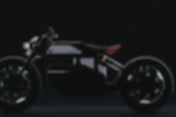 Harley Davidson Revival