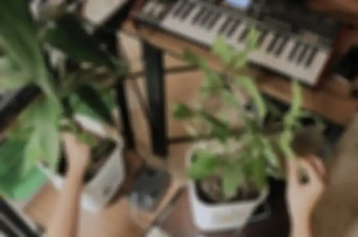 Bootlesmoker mencoba menghubungkan tanaman dengan synthesizer.