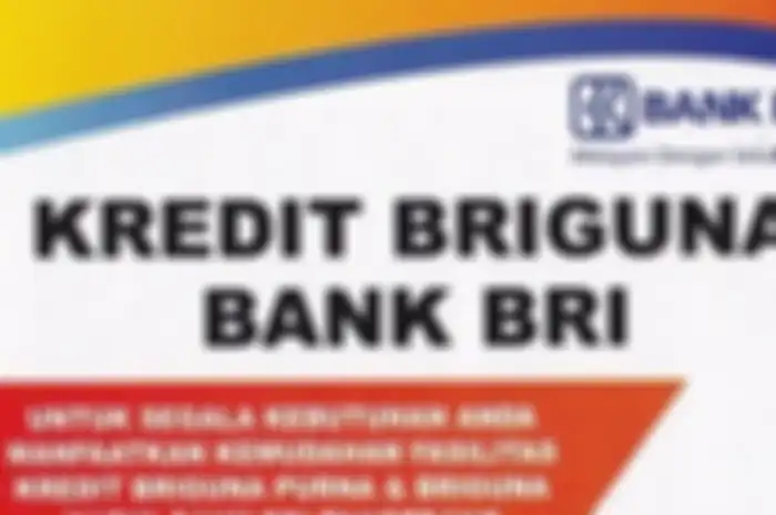 Ilustrasi pinjaman tanpa agunan atau kredit Briguna BRI