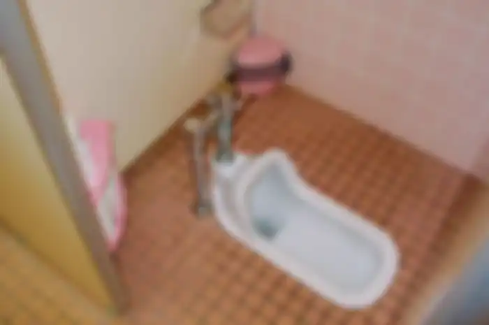 Seiring berkembangnya teknologi, toilet jongkok juga diberi tangki penyiram yang disembunyikan di dalam tembok, disebut dengan toilet jongkok institusional.
