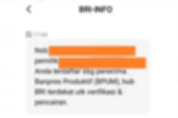 Tiba-tiba Ada SMS Masuk dari Bank BRI Soal Bantuan Presiden, Buruan ke Bank Lakukan Pencairan Uang