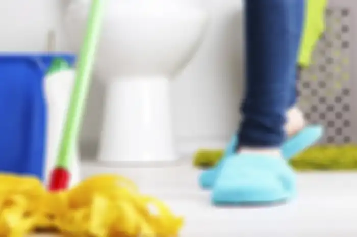 Nahan Malu Usai Diomongin Tetangga karena Kloset Bau Pesing? Segera Hempas dengan Modal 3 Bahan Dapur Ini Sekarang Juga!