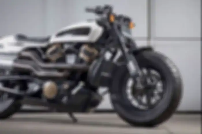 Harley-Davidson Custom Sportster 1.250cc