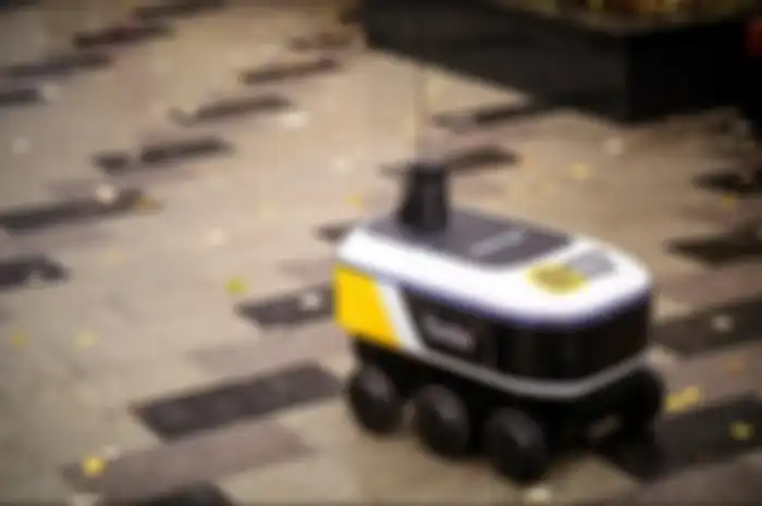 Robot Yandex