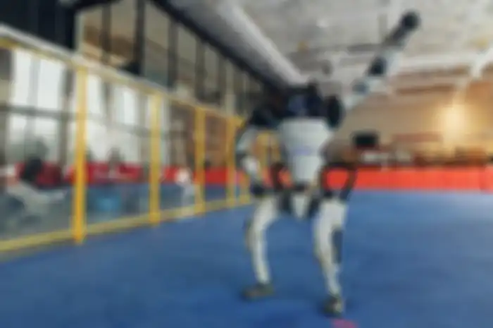 Boston Dynamic Robot
