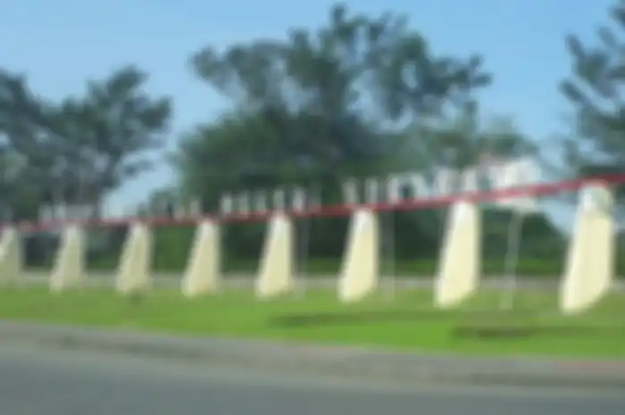 UNESA