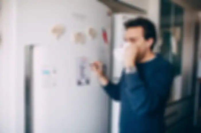 Salah satu pemanfaatan magnet di kulkas