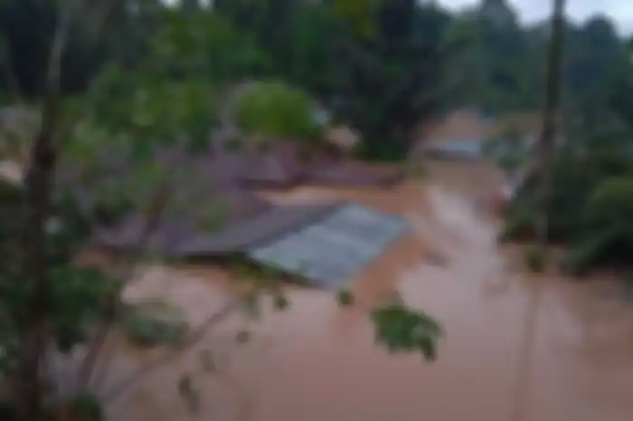 Banjir setinggi atap rumah di Kampung Tadan, Kec. Seluas, Kab. Bengkayang, KalBar (14/1/2021).