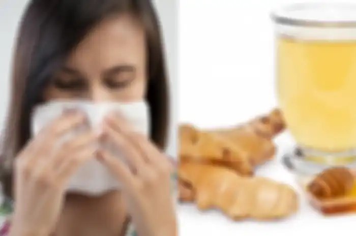 Mengatasi hidung tersumbat dengan pengobatan rumahan