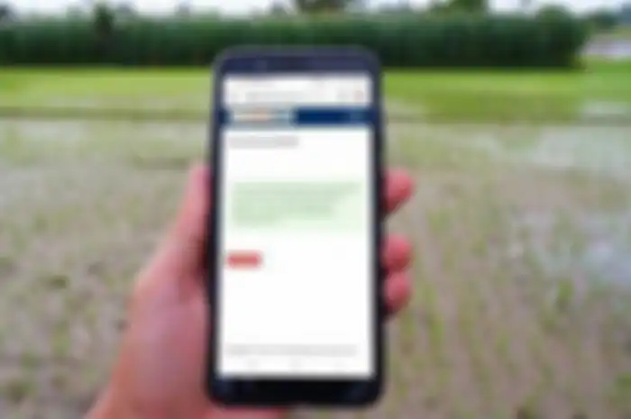Siap-siap cek BRI Online, bantuan Rp 2,4 juta bakal cair lagi.
