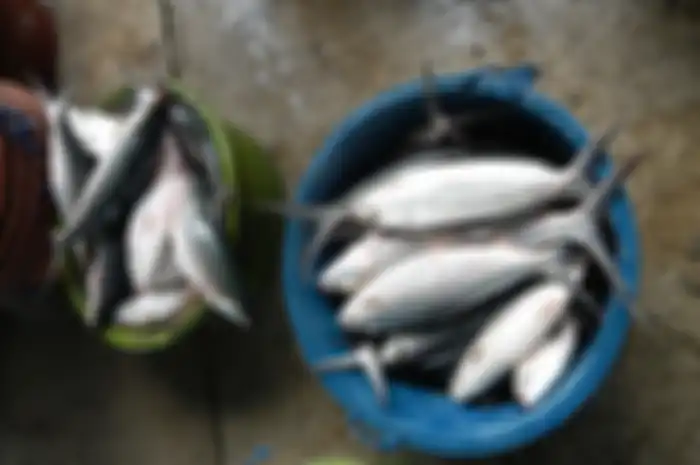 Alasan Kenapa Ikan Bandeng Identik dengan Perayaan Imlek di Jakarta