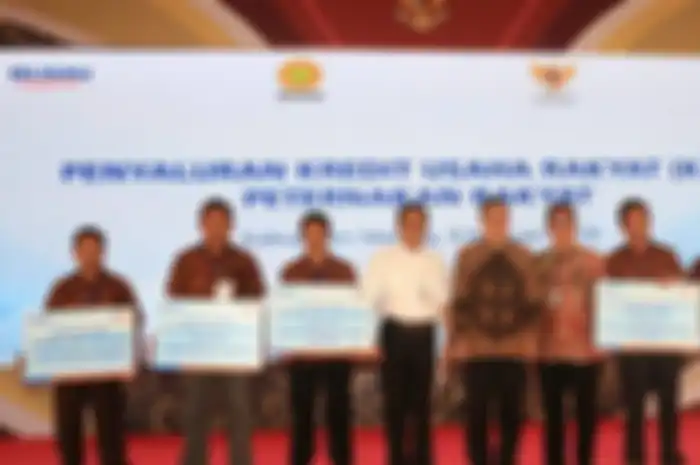 Ilustrasi pembagian pinjaman tanpa agunan atau KUR
