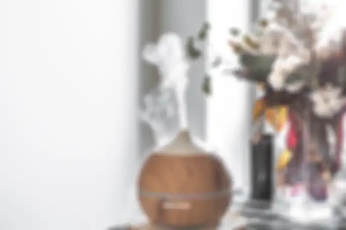 Belum banyak orang yang mengetahui perbedaan diffuser, humidifier dan purifier sebab ketiganya sama-sama bekerja dengan mengeluarkan uap.