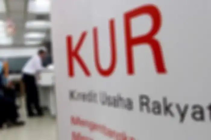 Pinjaman tanpa agunan untuk usaha atau KUR dari BRI