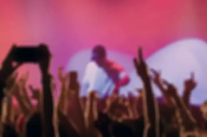 Menonton konser musik.
