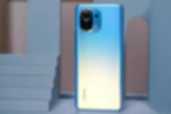Xiaomi Mi 11 Lite