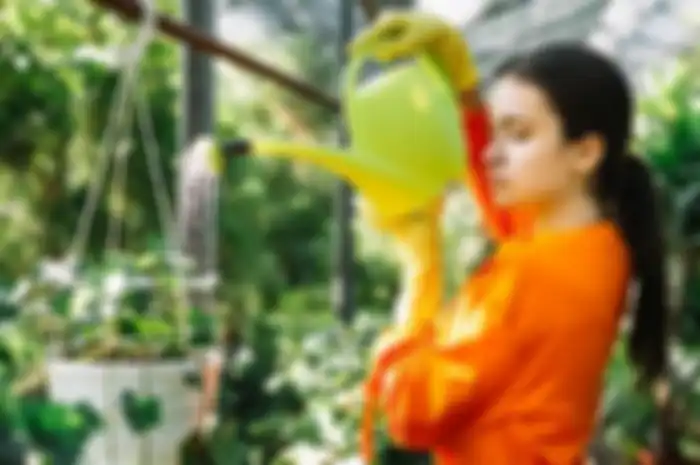 Tukang Kebun Bocorkan Cara Membuat Insektisida Alami di Rumah, Ternyata Cuma Butuh Lengkuas dan Kunyit