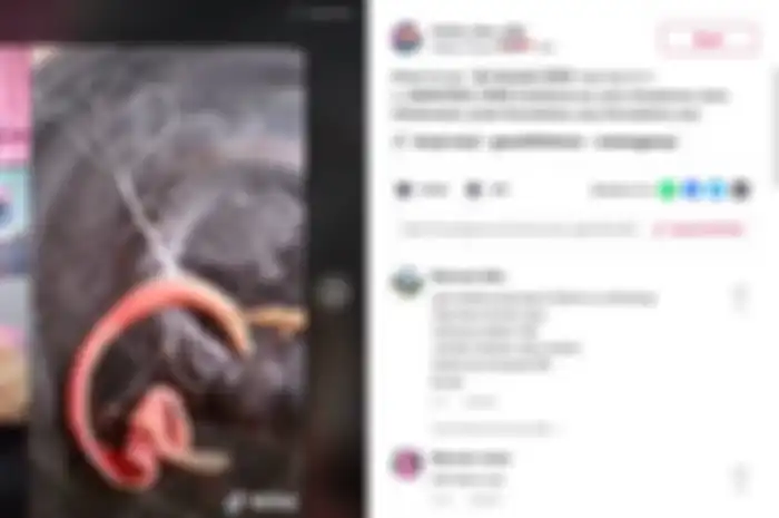 Viral Video Hewan Mirip Cacing Keluarin Cairan Berbentuk Akar, Beneran Berbahaya Nggak Sih? Begini Kata Peneliti Lipi