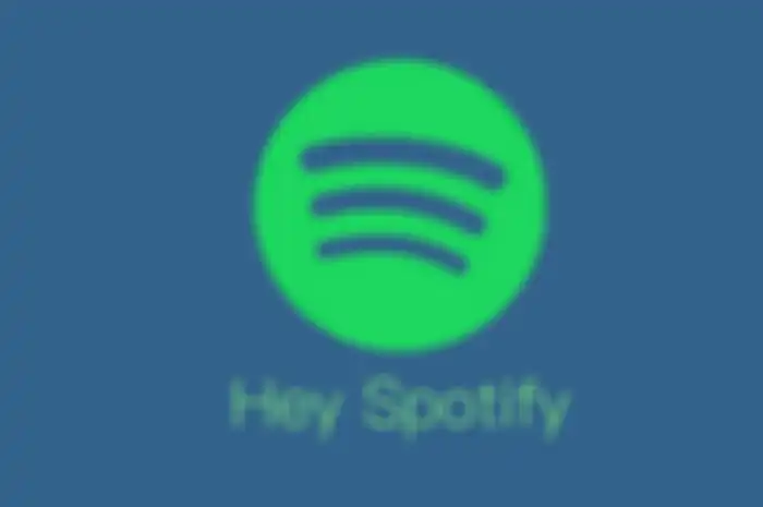 Virtual Assistan Hey Spotify