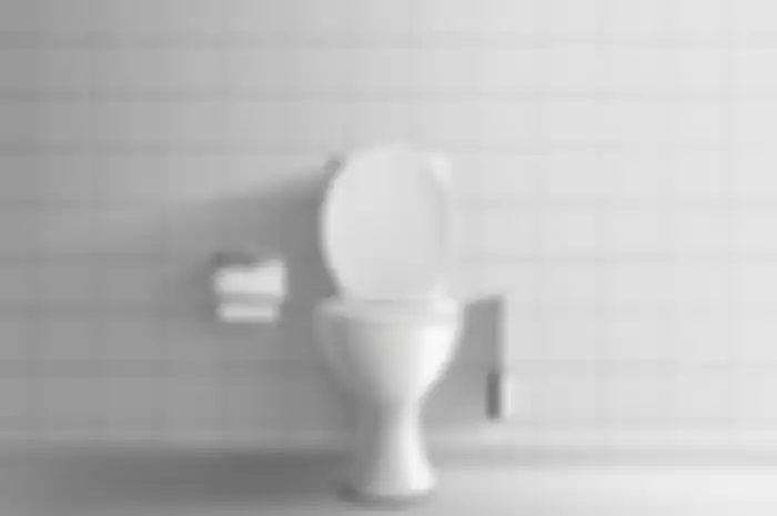 Mengenal Bagian-bagian pada Toilet Duduk dan Jongkok Hingga Cara Kerjanya